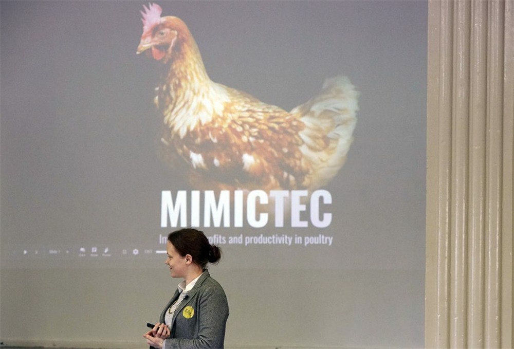 Eleanor Toulmin, CEO of Mimictec, presenting with a screen behind with a large image of a chicken and the word 