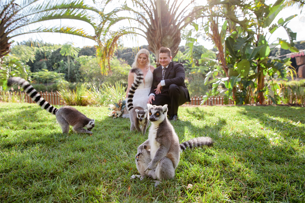 Australia zoo wedding | Beachweddingtips.com