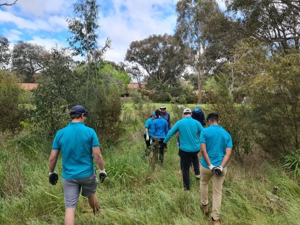 Canberra: World Environment Day Event at Mitchell Grasslands