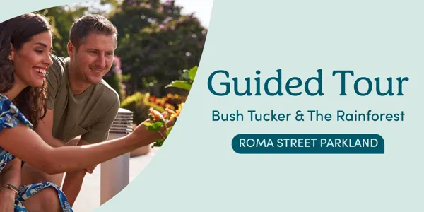 Bush Tucker Tours - 10AM Wednesday 19th August
