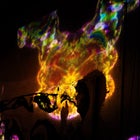 DJILBA FEST 2026