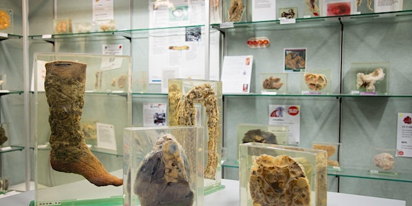 Museum of Human Disease public visits March - April 2023